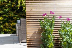Cedar Screens