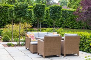 Limestone Paving with Box Head Trees