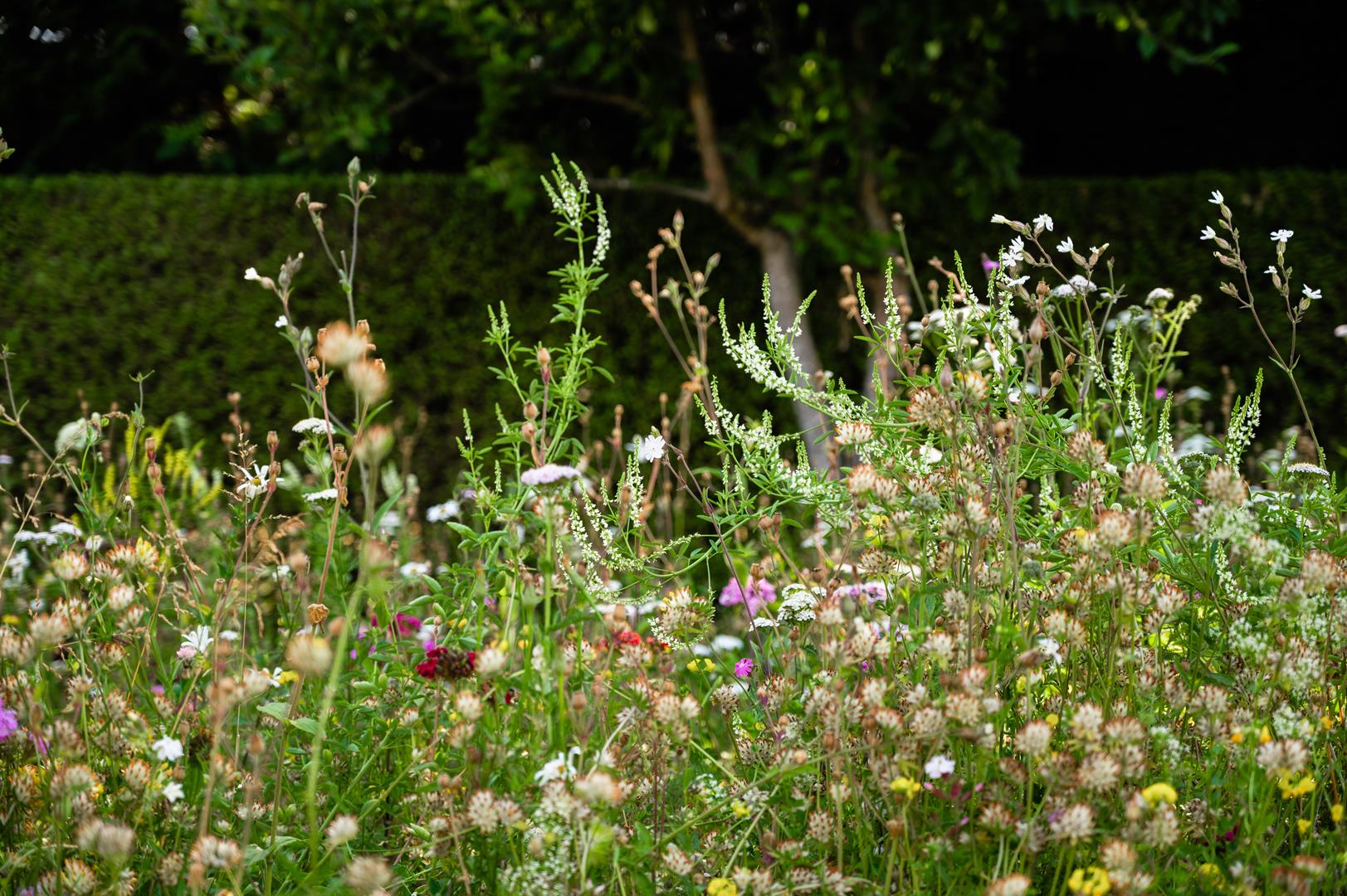 J&S Scapes - Bucks Garden Design - CHalfont St. Giles - 04